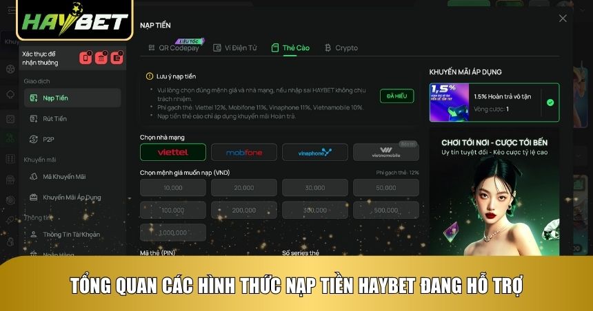 Hình thức nạp tiền Haybet cung cấp cho hội viên