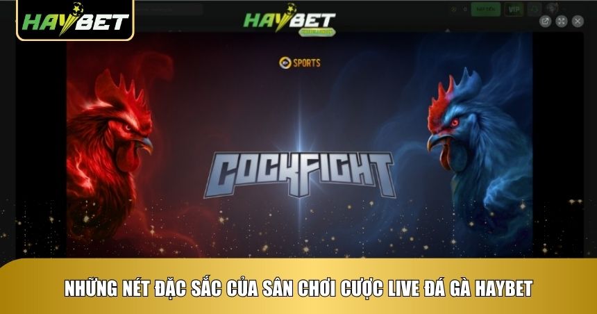 Điểm nổi bật của sân chơi Đá gà Haybet