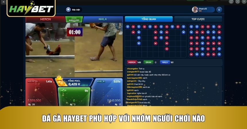 Đá gà Haybet phù hợp với đa dạng người chơi