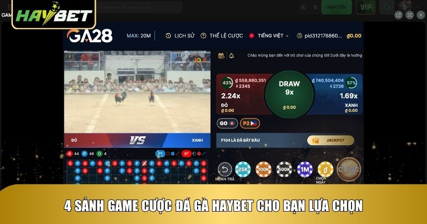 Top 4 sảnh game Đá gà Haybet