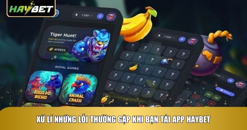 Xử lí lỗi khi cài đặt ứng dụng Haybet