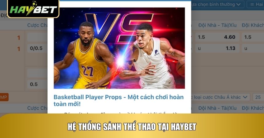 Hệ thống sảnh thể thao tại Haybet
