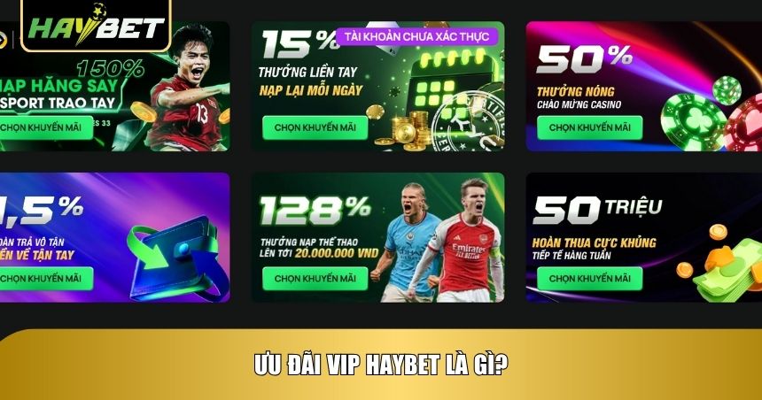 Ưu đãi VIP Haybet là gì?